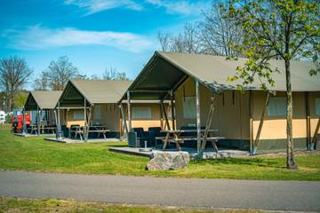 Glamping voor 5 Personen in Bladel, Noord-Brabant, Afbeelding 3