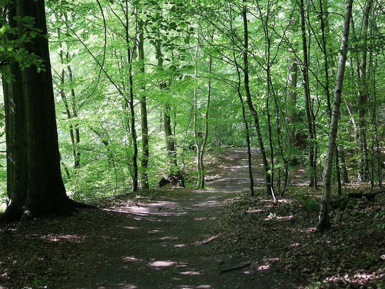 Ganze Ferienwohnung, Am Liethwald, Ferienwohnung in Bad Fallingbostel, Landkreis Heidekreis