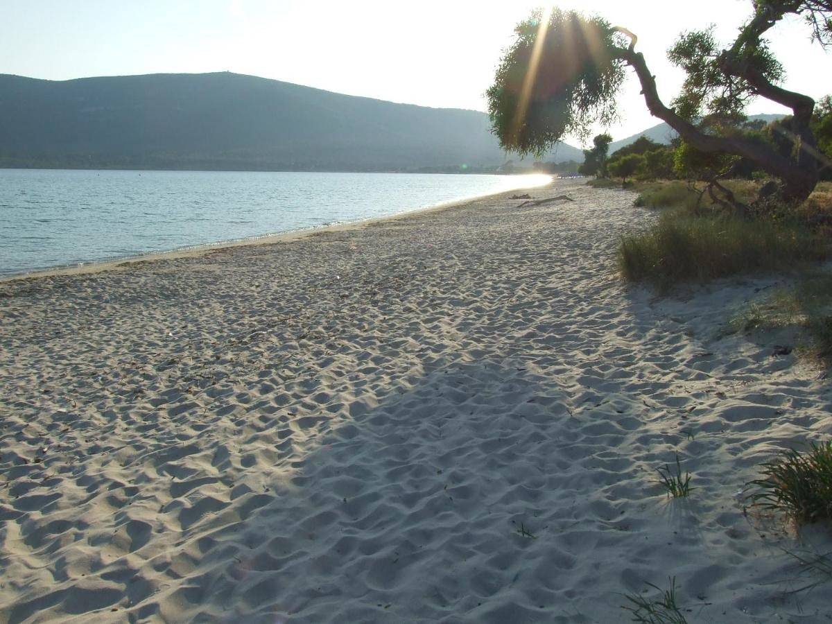 Agriturismo corallo in Alghero, Nurra