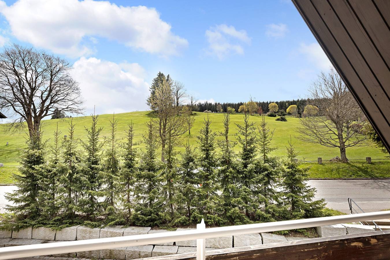 Ganze Wohnung, Ferienwohnung 'Isabell' mit Gemeinschaftsgarten, Balkon und Wlan in Schönwald, Südschwarzwald