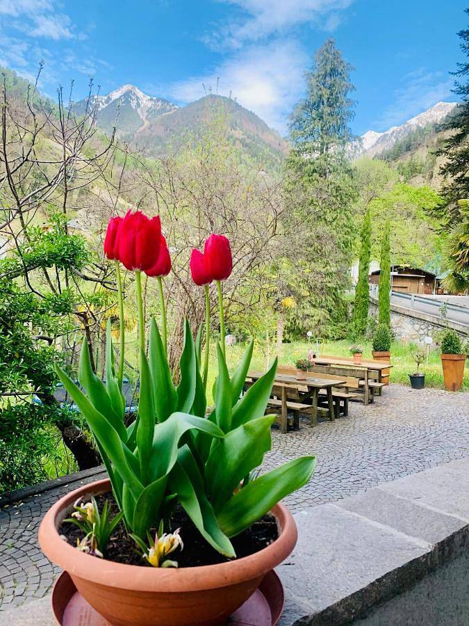 B&B für 2 Personen, mit Garten und Ausblick in Südtirol - 3