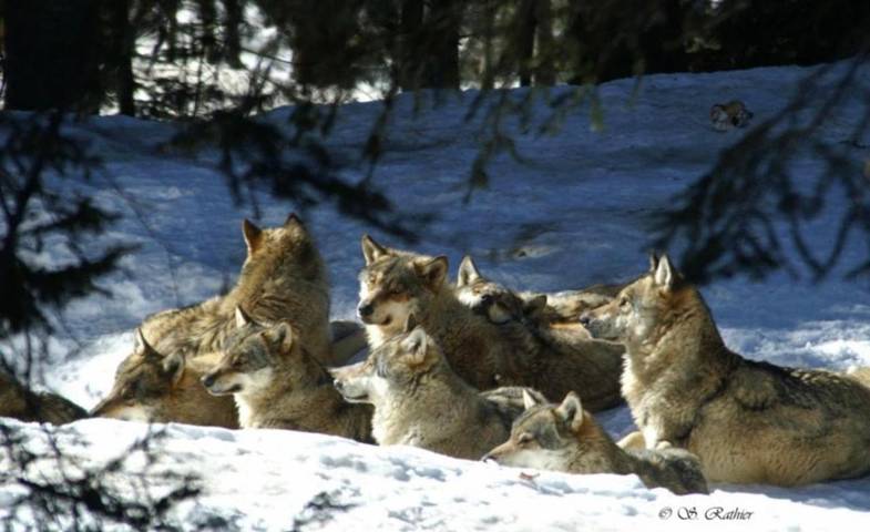 Gîte pour 4 personnes, avec jardin et vue dans Berthemont les Bains - 3