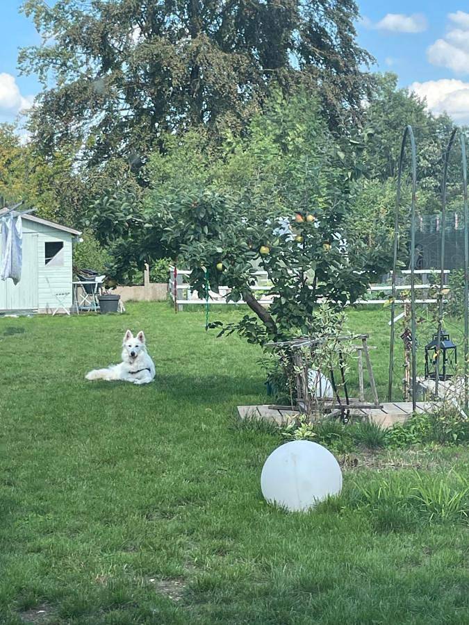 Appartement de vacances entier, Double Room with Garden View in Dieue-sur-Meuse, Verdun