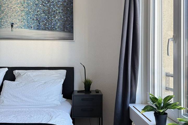 Ganze Wohnung, Stilvolles Studio Apartment bei der Messe Olma in St. Gallen, Zürich Voralpen