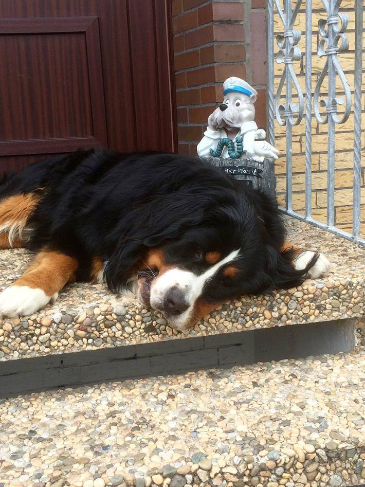 Ferienwohnung für 2 Personen, mit Garten und Sauna in Carolinensiel - 2