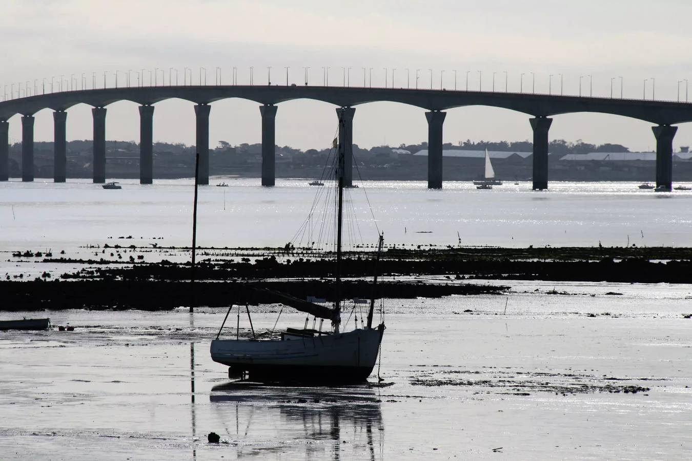 Appartement entier, Appartement "Etage" 3 Pièces 4 personnes in Sainte-Marie-de-Ré, Île de Ré
