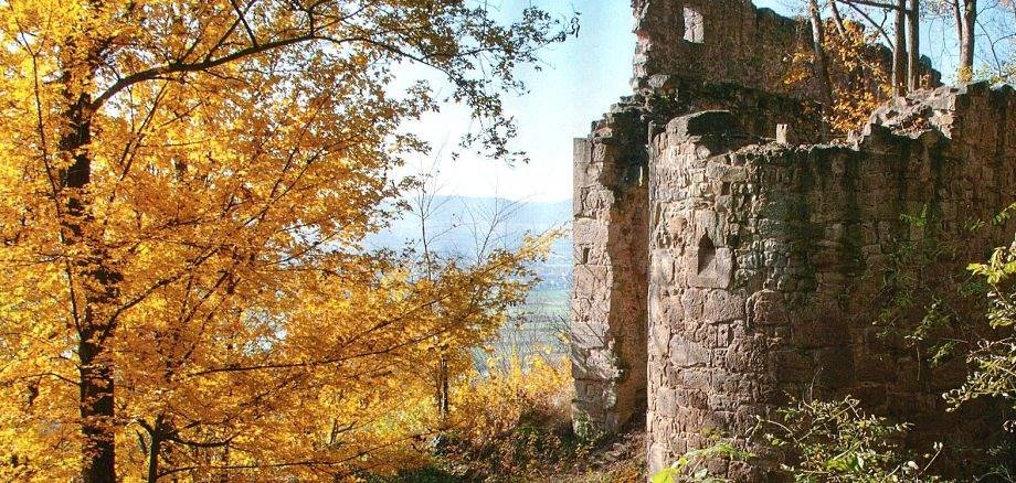 Ferienhaus für 4 Personen in Landkreis Haßberge - 2