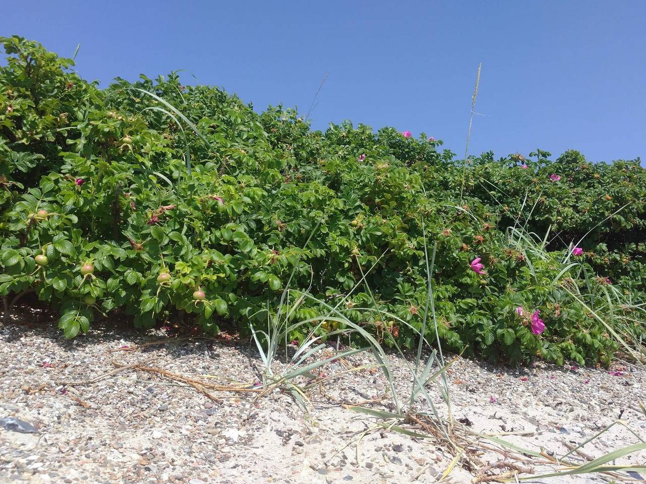 4 person holiday home in Haderslev in Kelstrup Strand, Little Belt