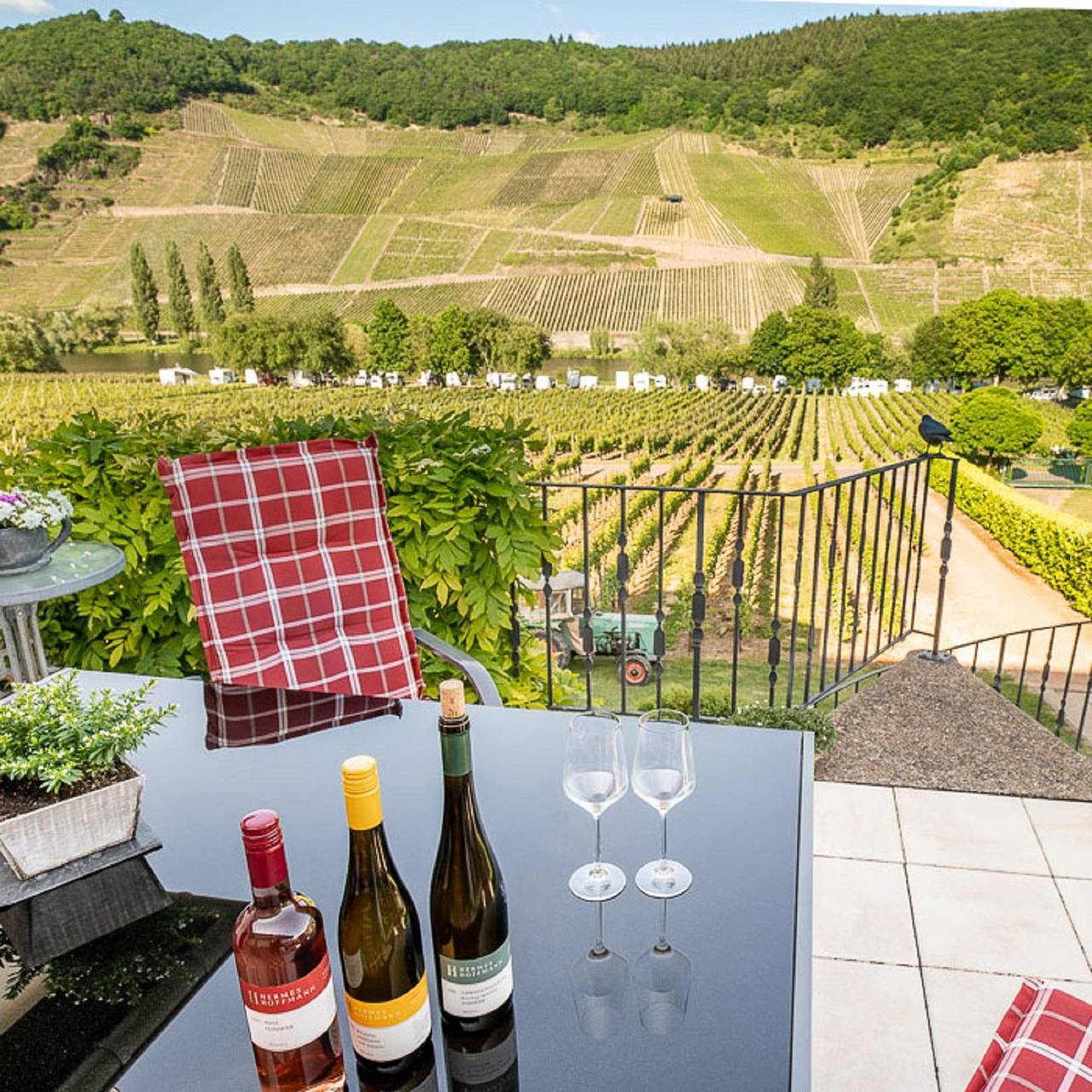 Ganze Ferienwohnung, Wein- und Gästehaus Hermes-Hoffmann in Trittenheim, Moseleifel
