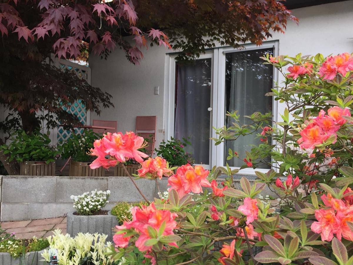 Ganze Wohnung, Haus Magnolia 2 in Kandern, Südschwarzwald