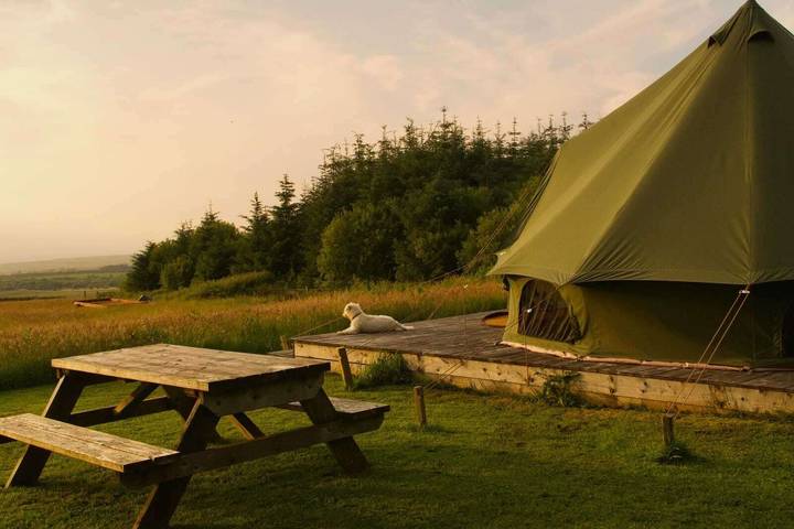 Glamping for 2 people, with garden and terrace, with pets in Ceredigion
