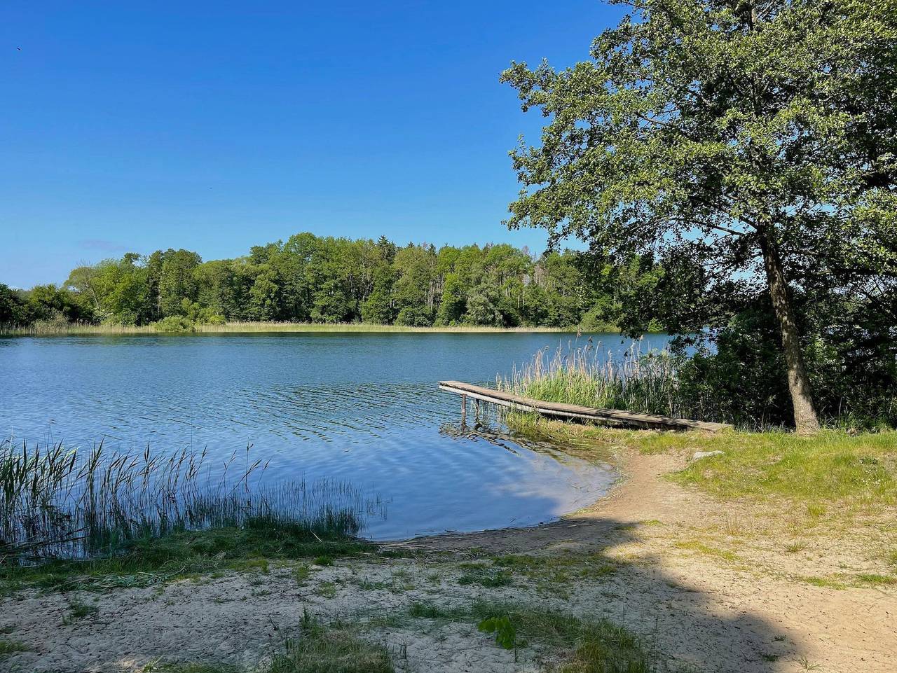 Ferienhaus Am Flachsee - Am Flachsee in Grabowhöfe, Mecklenburgische Seenplatte