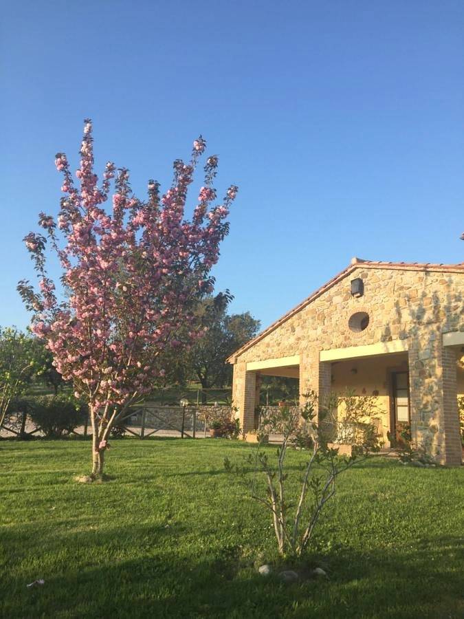 Privatzimmer für 2 Personen, mit Terrasse und Garten sowie Seeblick in Roccalbegna - 3