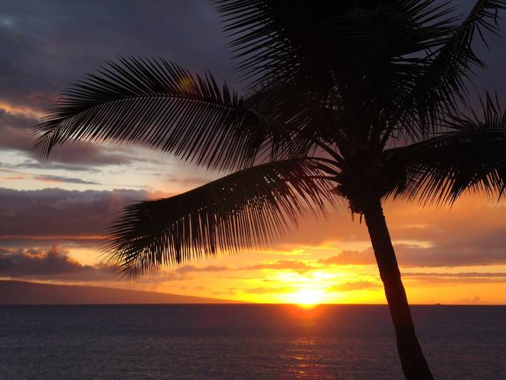Ferienwohnung für 2 Personen, mit Balkon und Pool sowie Garten auf Hawaii