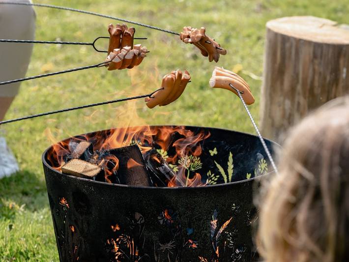 Bauernhaus für 5 Personen in Österreich - 4