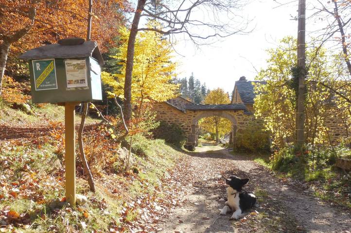 Chambre d’hôte pour 2 personnes, avec jardin en Haute-Loire - 3