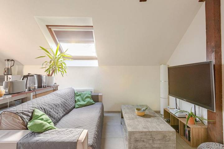 Gîte pour 4 personnes, animaux acceptés à Erstein - 2