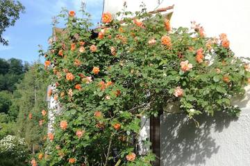 Ferienwohnung für 3 Personen, mit Garten und Terrasse in Schwäbisch Hall