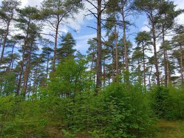Ferieudlejning til 6 Personer i Jegum, Vesterhavet, Billede 4
