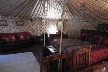 Glamping for 5 People in Southbourne, West Sussex, Photo 1