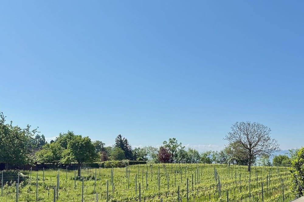 Ganze Wohnung, Ferienwohnung Rebgarten - gemütliche und komfortable Familienunterkunft in Nonnenhorn, Bayerisch Schwaben