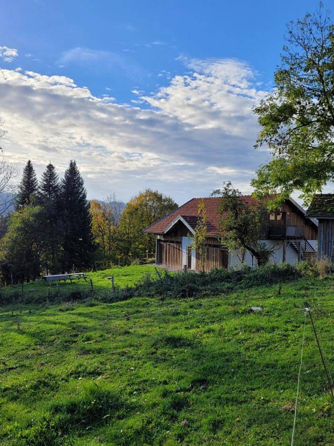 Gîte pour 13 personnes, avec vue et jardin, animaux acceptés dans Le saut du Doubs - 4