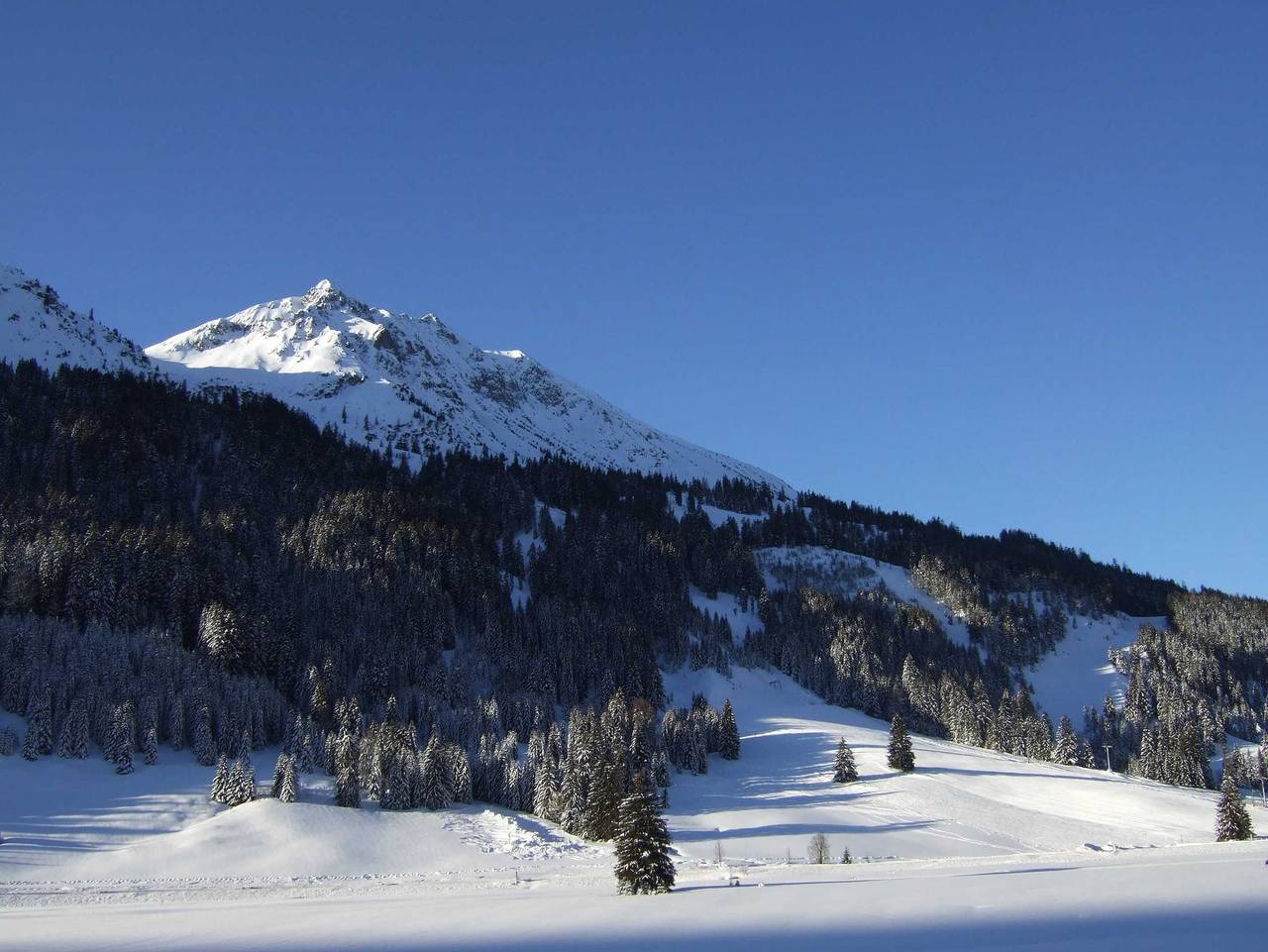Haus Rosemarie - Doppelzimmer 6 Süd in Nesselwängle, Allgäuer Alpen (Österreich)