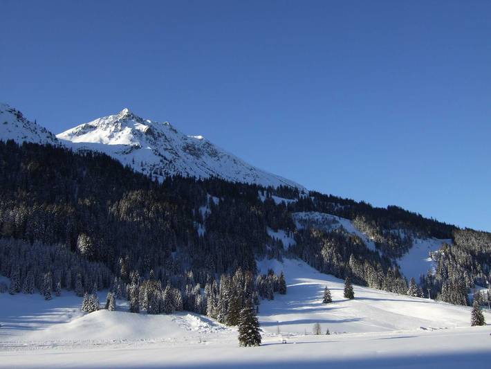 Ferienwohnung für 5 Personen, mit Balkon und Garten, mit Haustier in Nesselwängle - 3