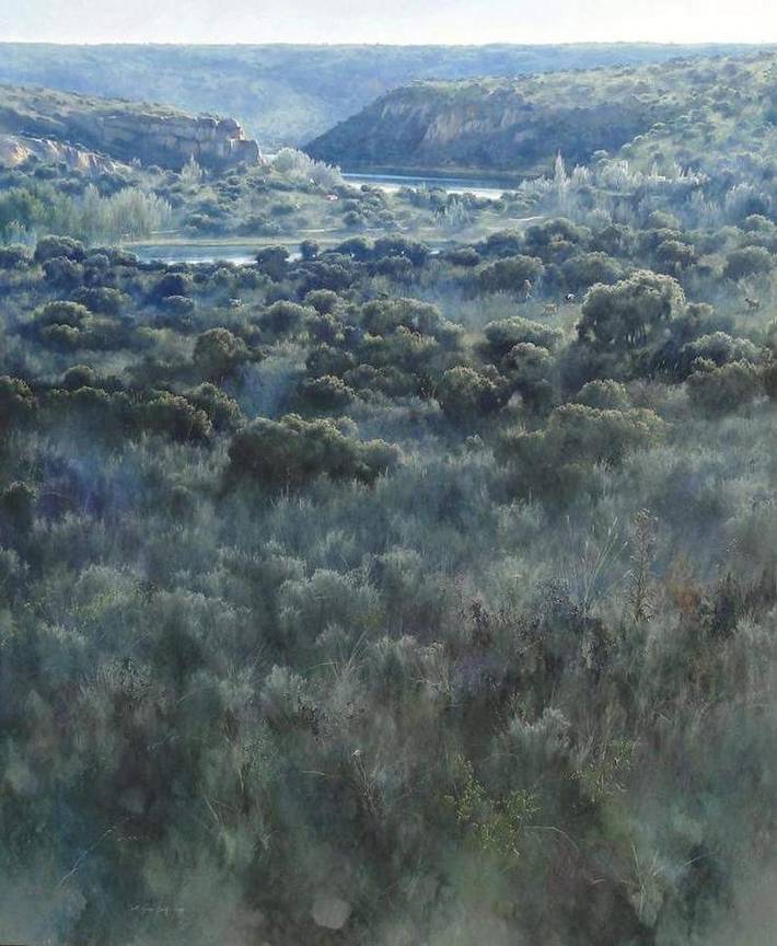 Casa rural para 9 personas, con jardín y vistas, Se admiten mascotas en Parque natural de las Lagunas de Ruidera - 3