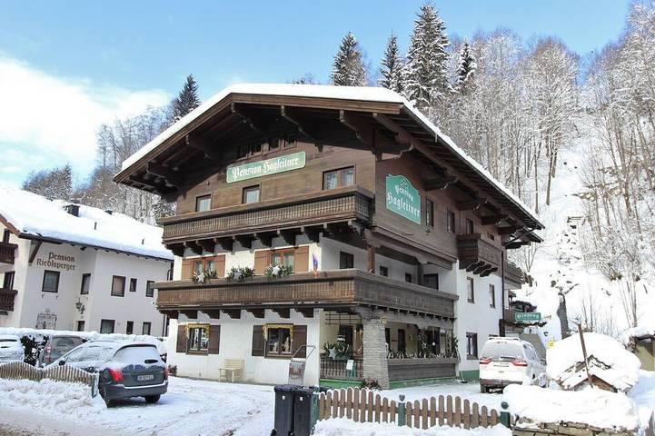Hütte für 6 Personen, mit Garten und Pool in Saalbach