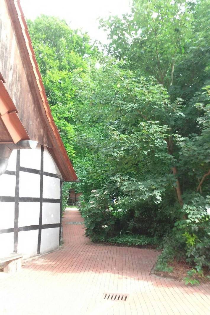 Ferienwohnung für 6 Personen, mit Terrasse in Tecklenburg - 4