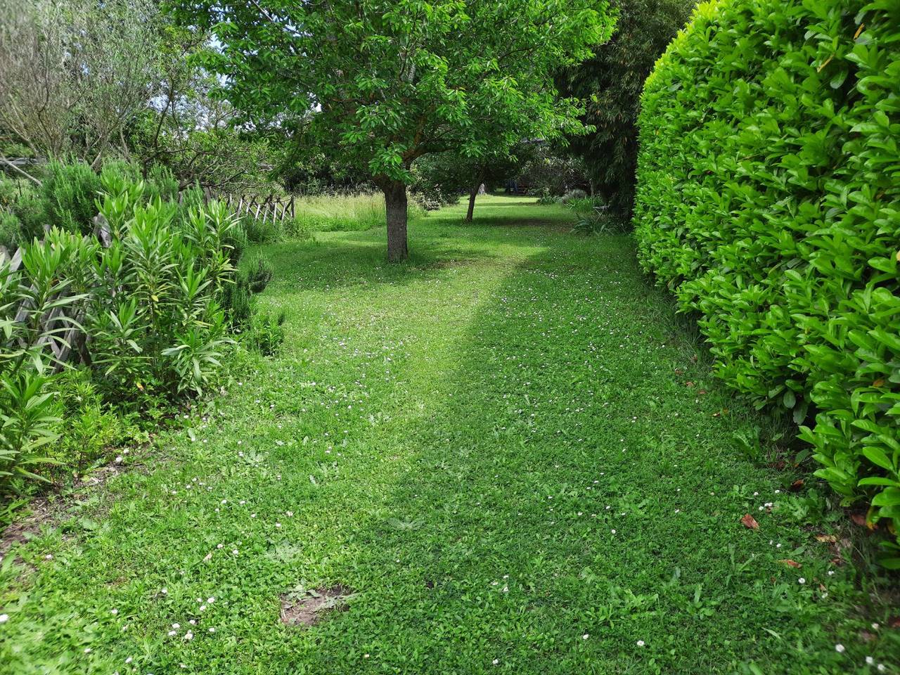 La roulotte du Jardin des Toiles in L'Isle-sur-la-Sorgue, Vaucluse