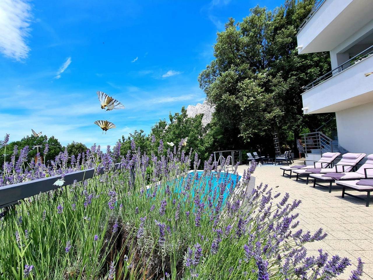 Jure Bast in Baska Voda, Makarska Riviera