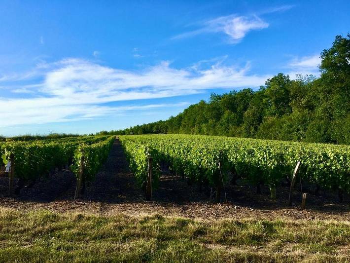 Location de vacances pour 4 personnes, avec terrasse et jardin à Pocé-sur-Cisse - 3