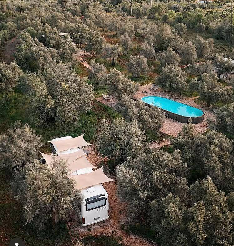 Glamping Algarve Olive Tree Lodge in São Bartolomeu de Messines, Faro District