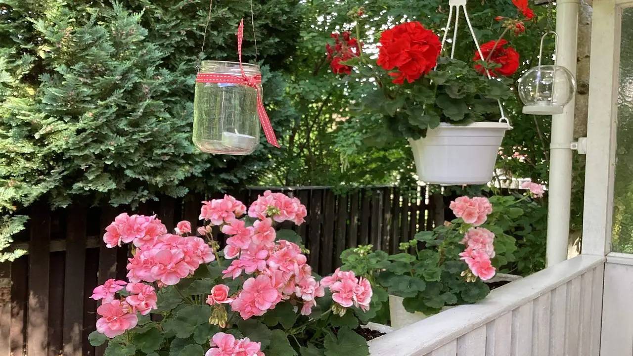 Ferienhaus für 4 Personen (32 m²) in Stora Hammar in Höllviken, Vellinge und Umgebung