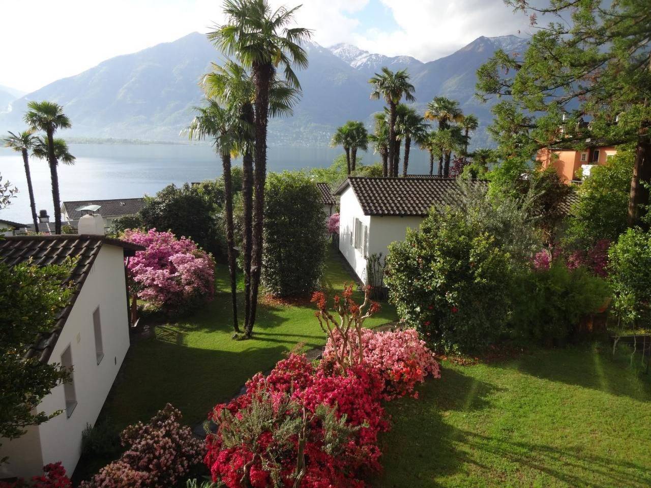 Öko-Haus B Schwimmbad Garten herrlicher Seeblick in Minusio, Tessiner Alpen