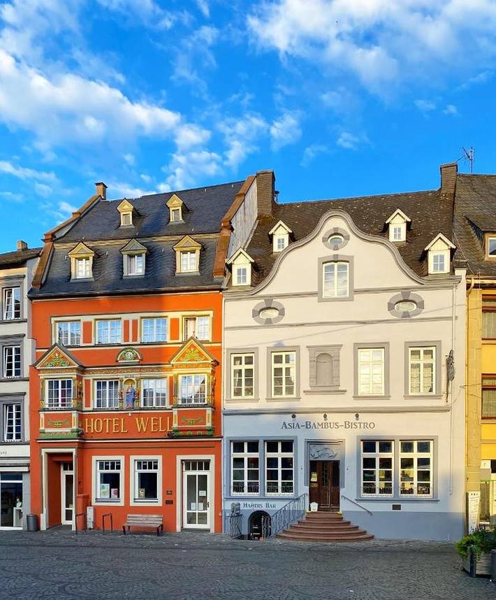 Hotel für 4 Personen, mit Ausblick und Terrasse, mit Haustier in Wittlich - 4