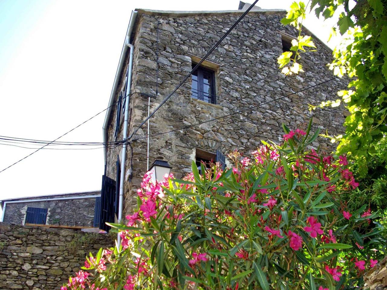 Ganze Wohnung, Sole e Ventu 70qm in San-Giovanni-di-Moriani, Corte und Umgebung