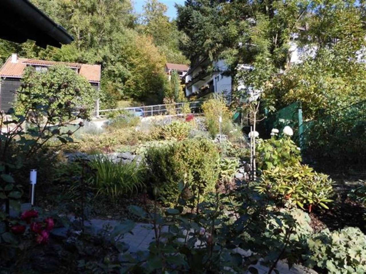 Ferienhaus Zur Eule - Ferienhaus Zur Eule in Wieda, Harzvorland