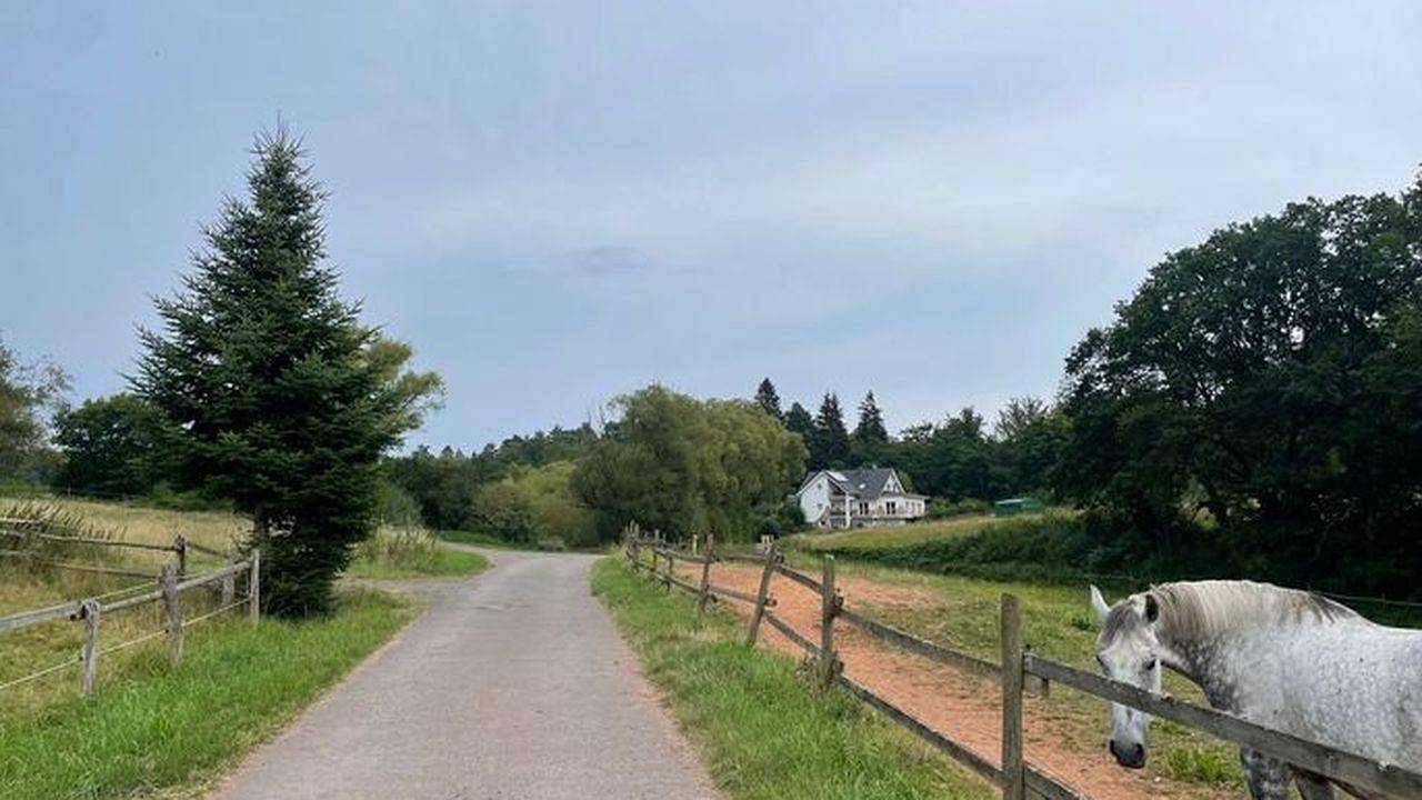 Ganze Ferienwohnung, Ferienwohnung für 2 Personen (90 m²) in Frankenberg (Eder) in Frankenberg (Eder), Waldecker Land
