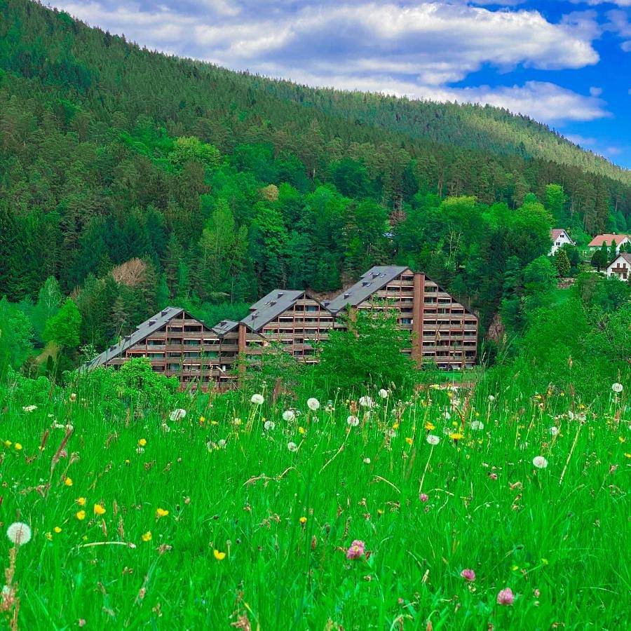 Ganze Wohnung, Ferienwohnung Günter im Tonbachtal in Tonbach, Baiersbronn