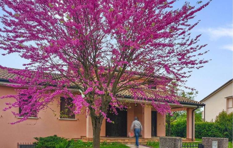 Appartamento per 6 persone, con giardino in San Pietro di Feletto