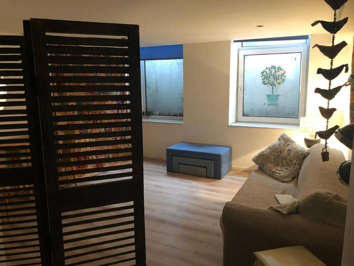 Gîte pour 4 personnes, avec jardin ainsi que jacuzzi et terrasse à Ixelles-Elsene - 4