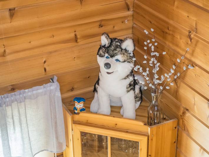 Ganze Wohnung, Salmelan kartano p 7 b in Isorakka, Levi