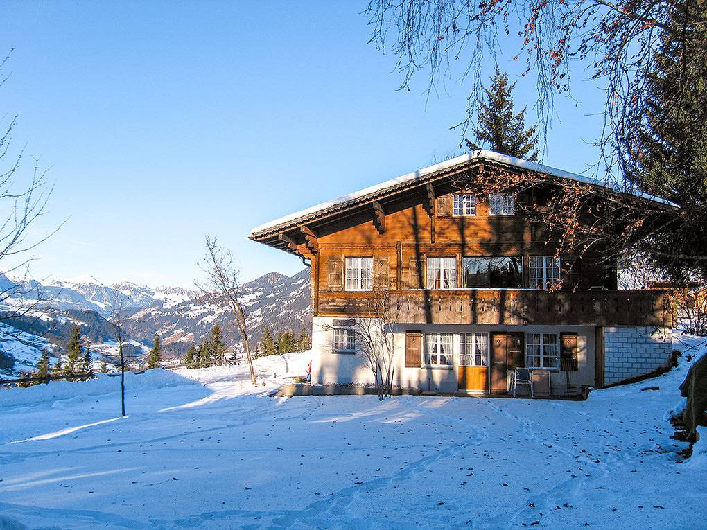 Ganze Ferienwohnung, Ch 267.011 - Chalet Hilari, Wohnung Parterre in Saanenmöser, Zweisimmen