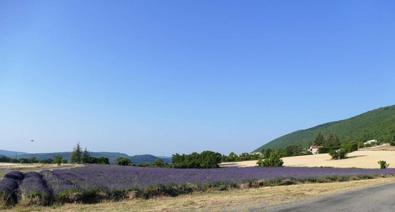 Les bois rouges in La Rochegiron, Région de Forcalquier