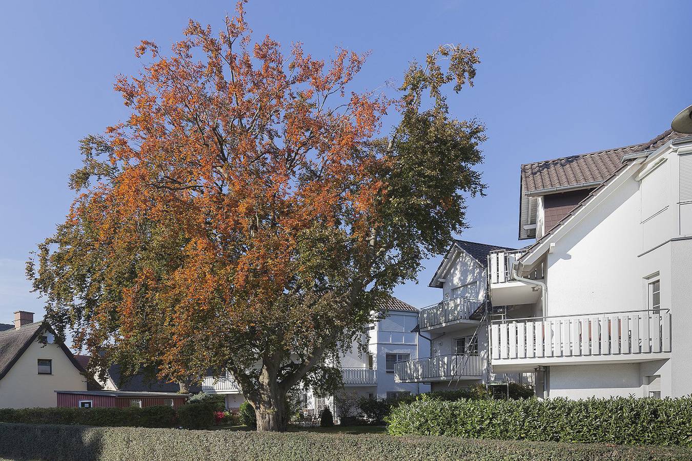 Ferienwohnung in Zingst ab 125€ pro Nacht