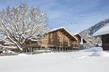 Hôtel pour 2 personnes, avec sauna ainsi que jacuzzi et jardin dans Gstaad