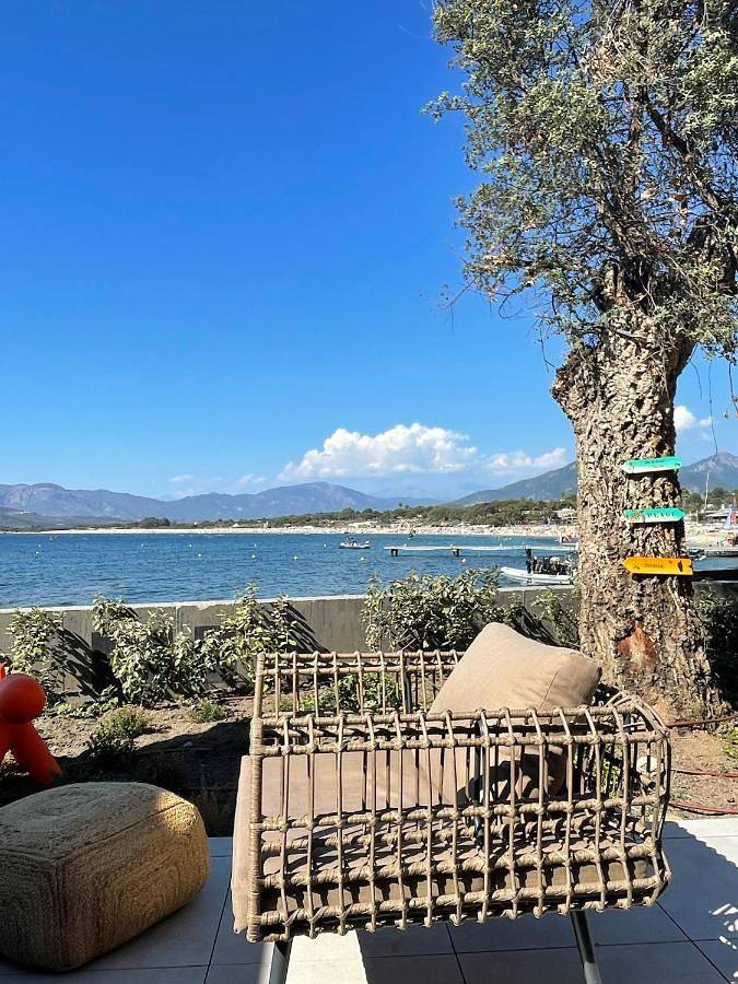 Gîte pour 6 personnes, avec terrasse et vue, animaux acceptés dans Plage De La Viva Porticcio - 4